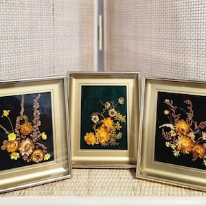 Vintage Set of 3 Framed Dried Flower Display Artwork