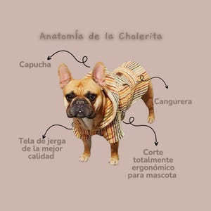 Puede incluir: Un Bulldog Francés marrón con un abrigo con capucha para perros con un patrón de rayas en tonos marrones, naranjas y crema. El abrigo tiene un bolsillo tipo canguro. Contiene texto en español.