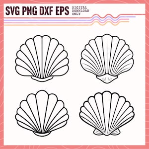 Seashells Bundle SVG PNG, Seashells Vector Image, Seashells Clipart, Sublimation Design, Seashell Cut File
