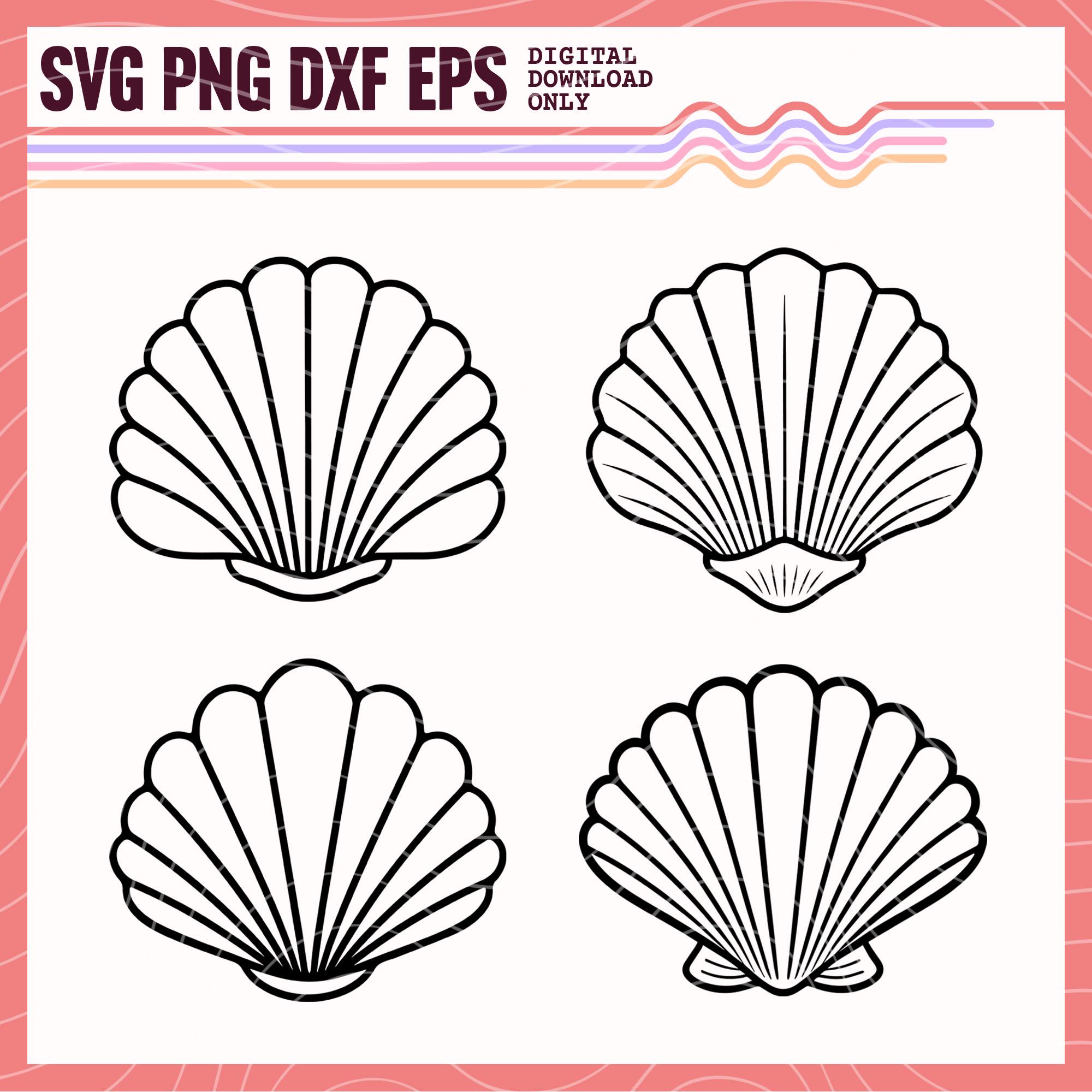 Seashell Vector Svg Seashells Bundle SVG PNG, Seashells Vector Image, Seashells Clipart ...