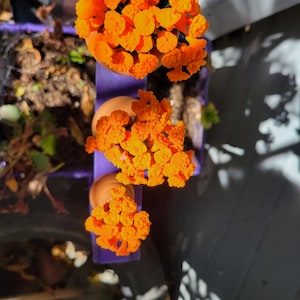 Bloemenvaas, cempasuchil, flor de Dia de muertos, Mexicaanse bloemstukken, bloemenvaas met 10 bloemen