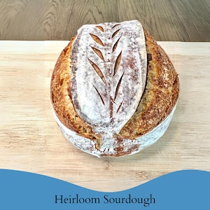 700+ Year Old Swiss Sourdough Starter- acquired near Zurich, Switzerland. image 8