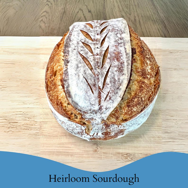 700+ Year Old Swiss Sourdough Starter- acquired near Zurich, Switzerland. image 8