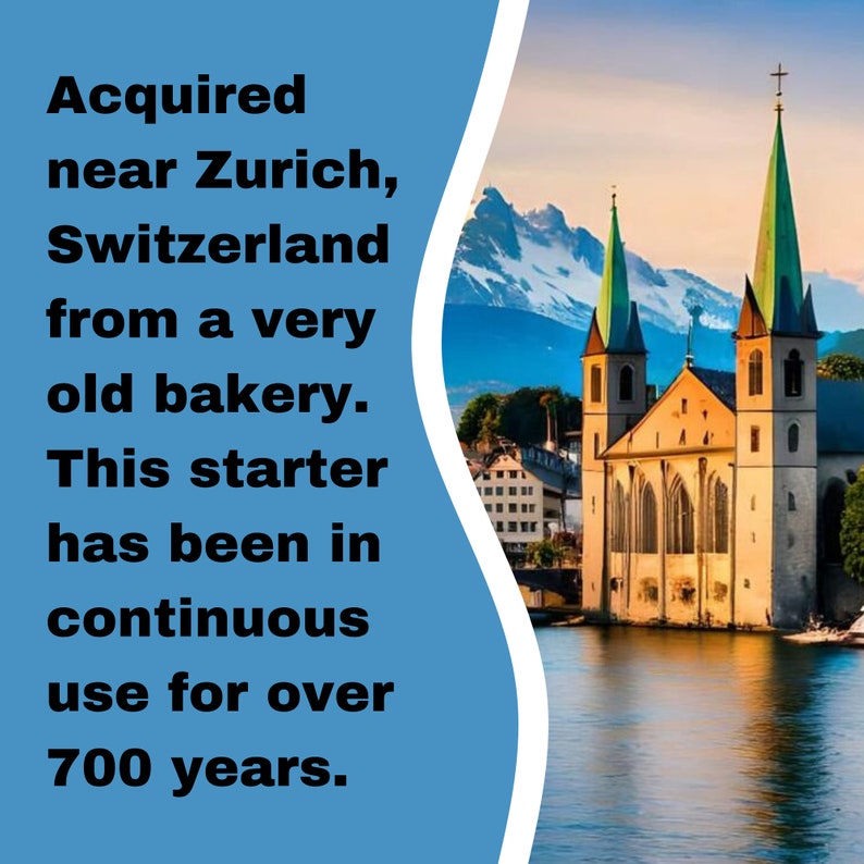 May include: A picturesque view of a church with two tall spires, located on a waterfront in a town near Zurich, Switzerland. The text "Acquired near Zurich, Switzerland from a very old bakery. This starter has been in continuous use for over 700 years." is displayed on the left side of the image.