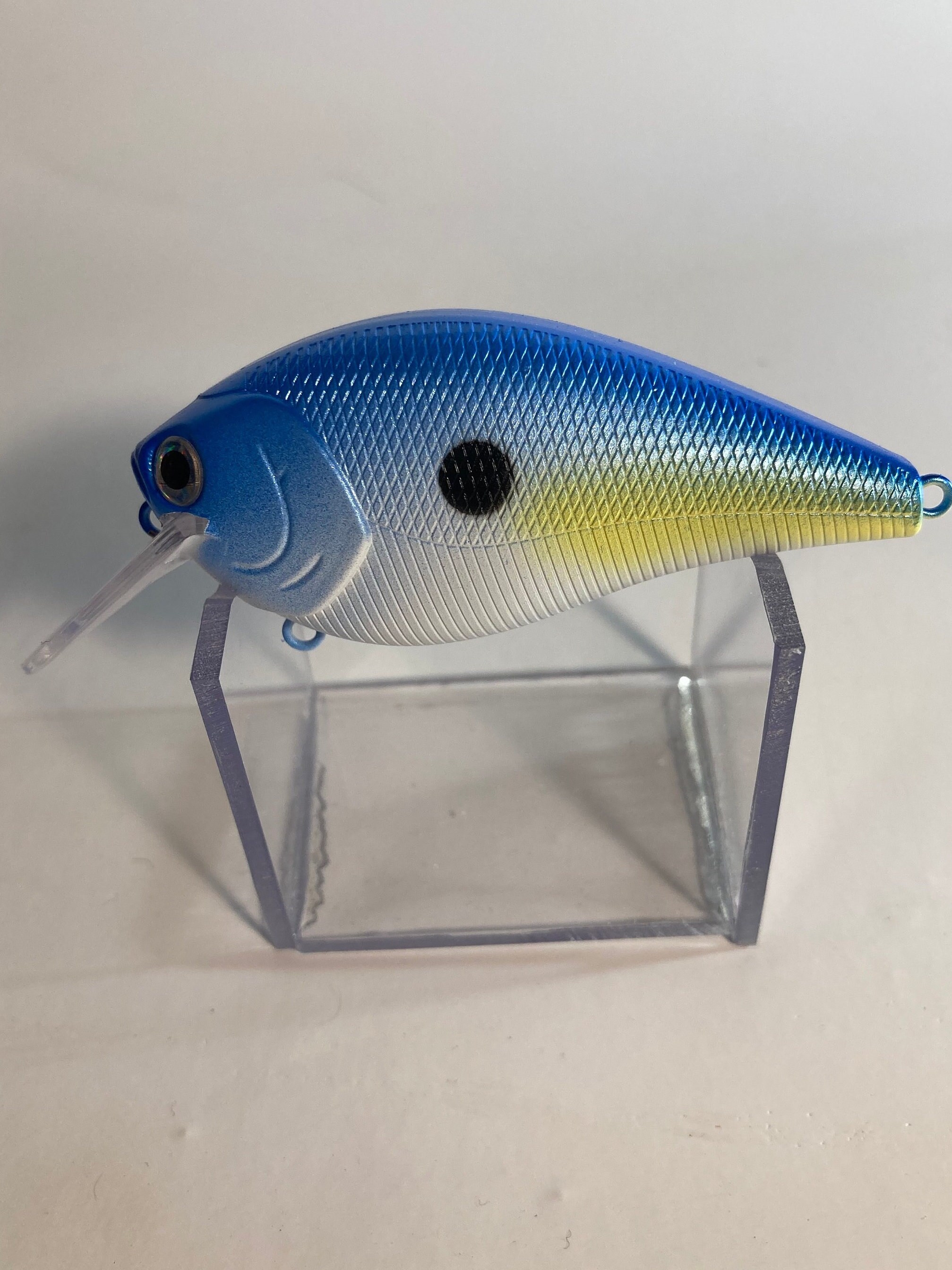 The Blue and Yellow Shad Custom Hand Painted Rattling Square Bill Crankbait  Fishing Lure 