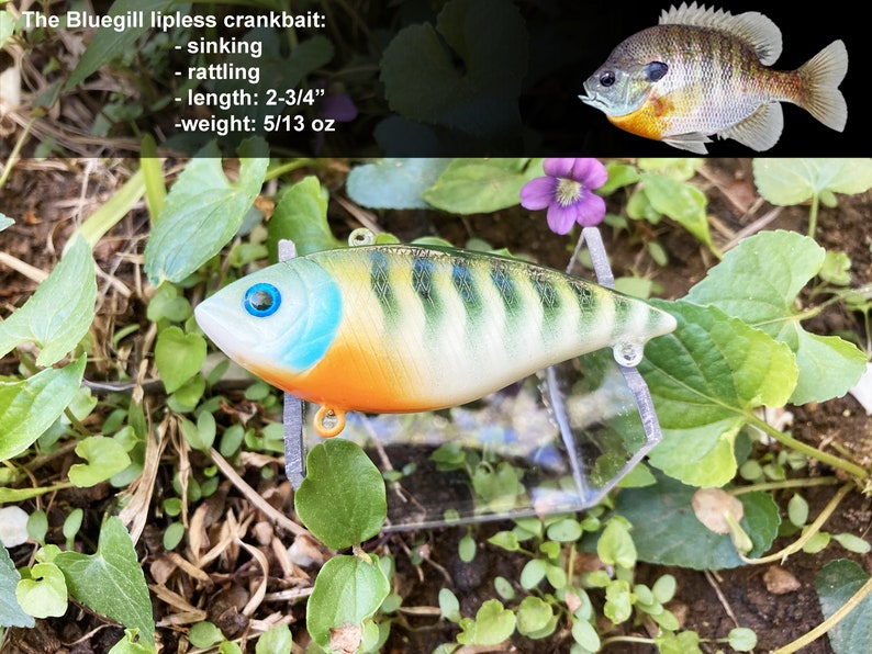 Fishing Lure Gift Box Custom Hand Painted Hard Bait Set 6 Etsy