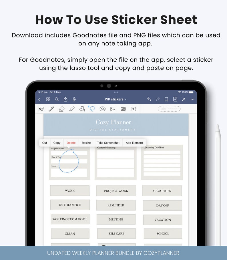 Weekly Schedule Planner Template for Goodnotes and Ipads, Includes A4 ...