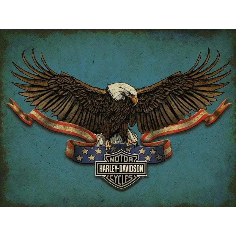 Harley Davidson American Bald Eagle 16 Harley Davidson American Bald Eagle 16