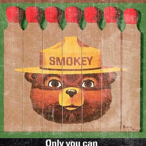 Smokey the Bear: Solo tú puedes prevenir incendios forestales, letrero publicitario de metal resistente de 16" del Parque Nacional Great Smoky Mountains de EE. UU.