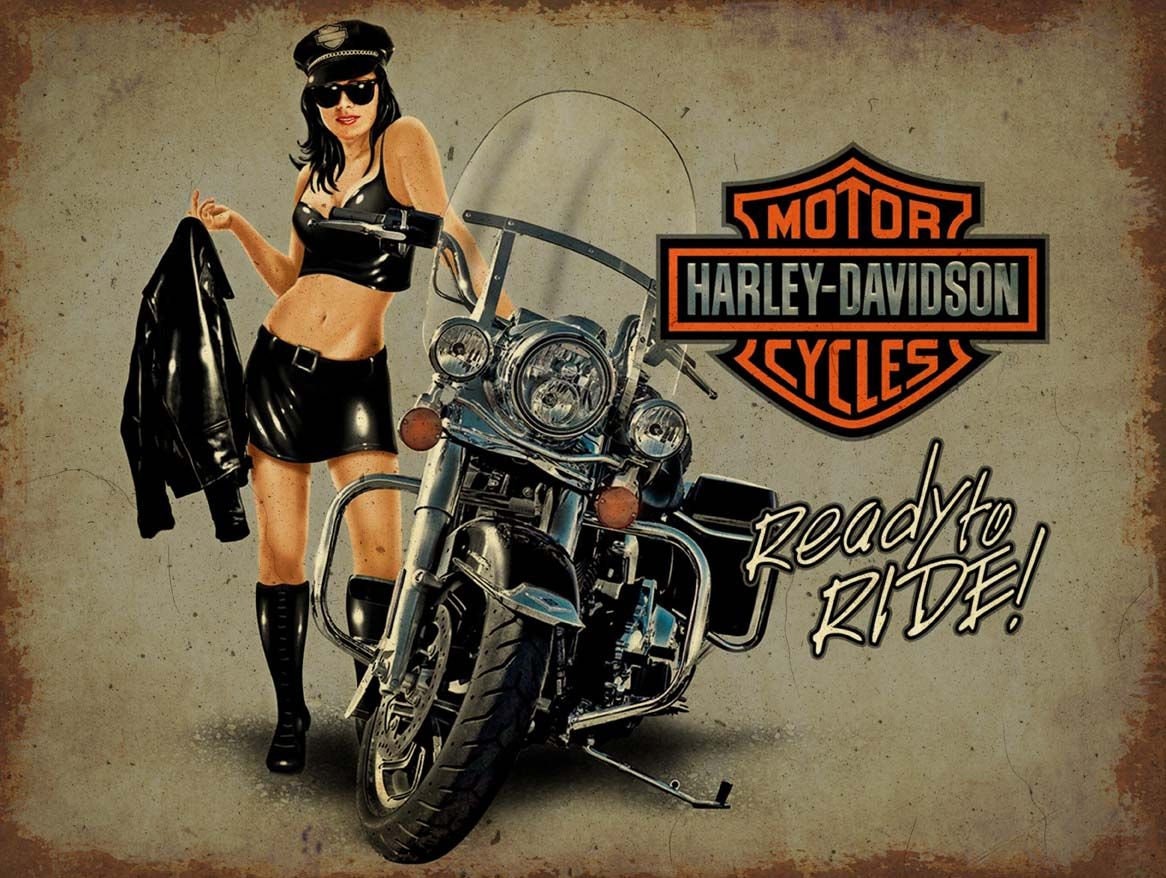 Sexy Harley Davidson 