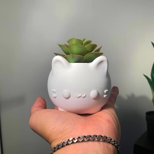 Cute Cat Planter, Adorable Animal Pot for Succulents, Cat Lover Gift for Her, Cat Mom Decor, Indoor Desk Plant Holder, Birthday Present