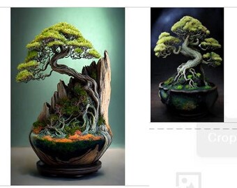 Zestaw 4 kompozycji z japońskich sukulentów bonsai – natychmiastowe pobranie cyfrowe