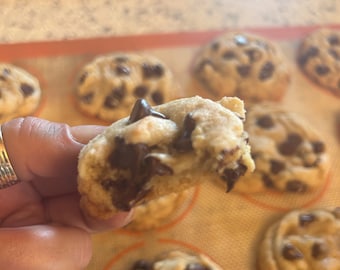 Homemade semi sweet salty chocolate chip cookies