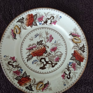 1885 Wedgwood Dinner Plate (beautiful crazing)