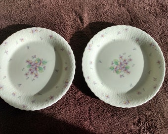 Mikasa Blue Violets 1980s Dinner Plates set of 2 10.5 inch A7057 (see condition notes)