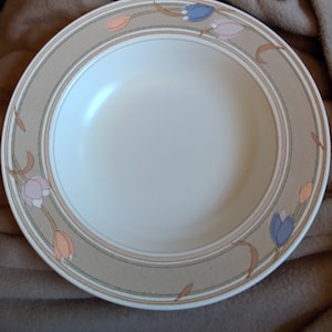 Meadow Sun Mikasa Intaglio Soup Bowl 9 3/8&quot; Large Rim 1980s 1990s pattern (excellent condition) CAC02