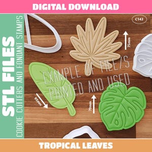 Puede incluir: Un surtido de cortadores de galletas y sellos de fondant con forma de hojas tropicales. La hoja verde mide 9,5 cm, la hoja beige mide 7,5 cm y la hoja de monstera verde mide 7 cm. La imagen incluye el texto "STL FILES COOKIE CUTTERS AND FONDANT STAMPS" y "TROPICAL LEAVES".