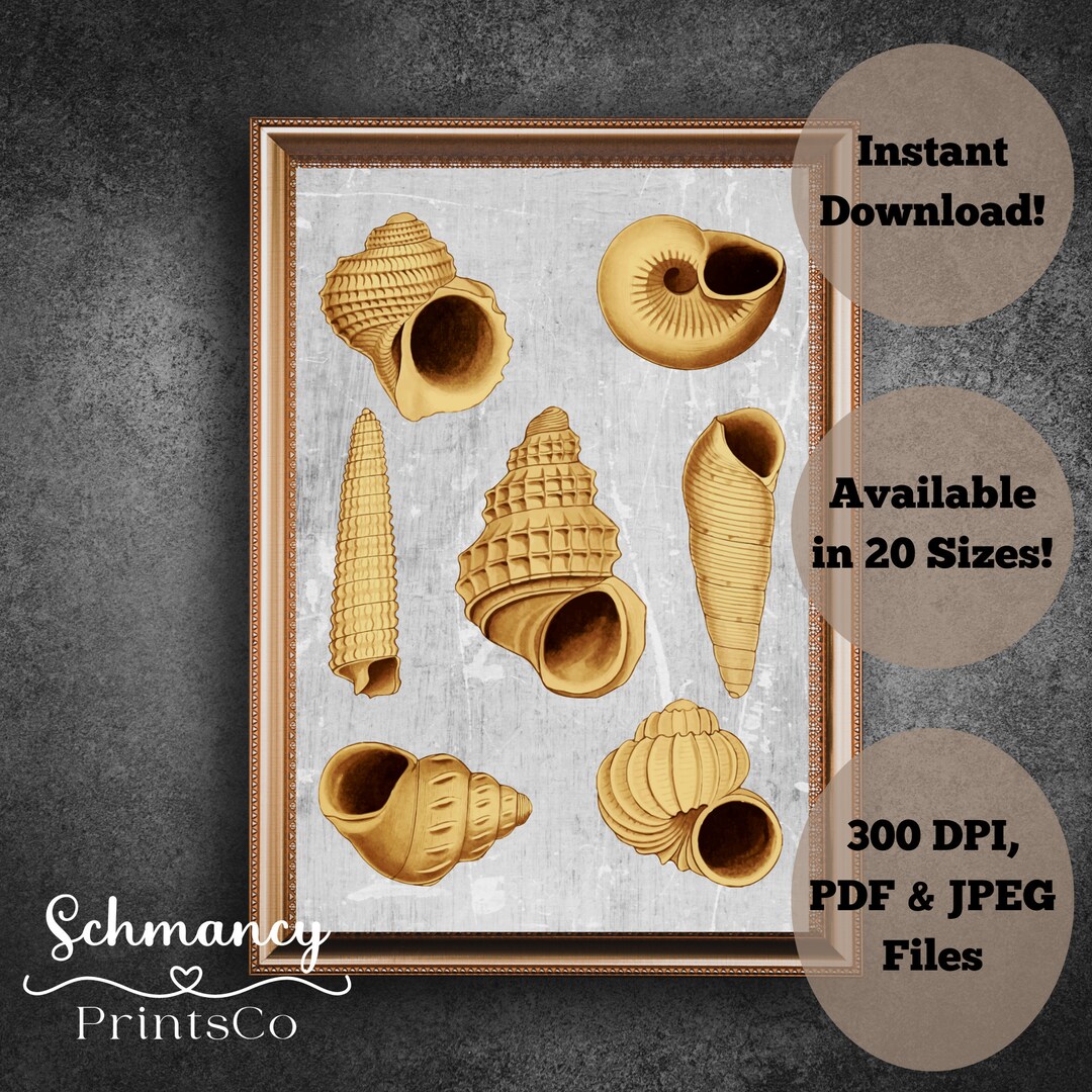 Conch Shell Art, Abstract Beach Art, Beige Wall Decor Art, Ocean Wall ...