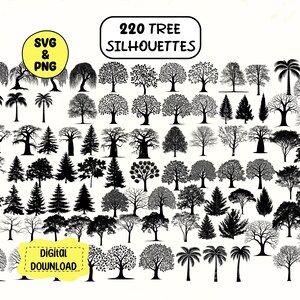 TREE Silhouette SVG Bundle, Arbre à feuilles persistantes SVG, Vecteur d’arbre, Fichier de coupe d’arbre Cricut, Fichiers SVG de forêt, Clipart d’arbre, Silhouette d’arbre forestier SVG