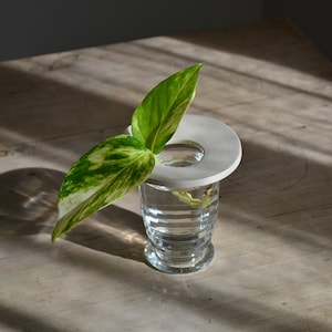Pode incluir: Um anel de cerâmica branca fica em cima de um vaso de vidro transparente cheio de água. Uma única folha variegada verde e branca é colocada no vaso.