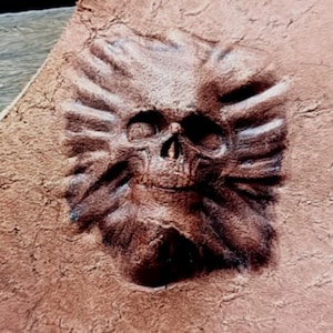 Puede incluir: Un parche de cuero marrón con un diseño de calavera cincelado. La calavera está estampada en el cuero y tiene un diseño detallado.