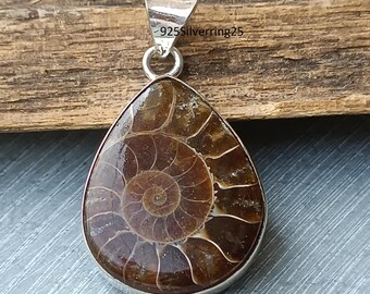 May include: A teardrop-shaped pendant featuring a polished ammonite fossil encased in a silver setting. The fossil displays a detailed spiral pattern in shades of brown and tan. The pendant has a silver bail for a necklace chain.