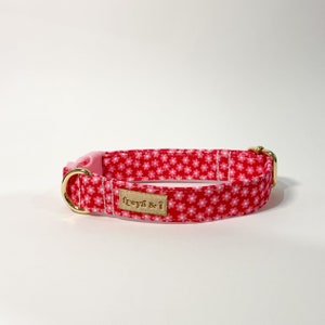 Daisy Dreams Pink/Red Collar | Pink & Red Floral Dog Collar