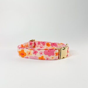 Pink Lemonade Collar | Bright Pink & Orange Floral Dog Collar