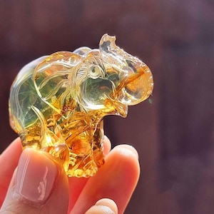 Könnte beinhalten: Eine kleine, durchscheinende, goldgelbe, geschnitzte Edelstein-Elefantenfigur. Die Skulptur weist detaillierte Gravuren an Ohren, Augen und Rüssel auf und besitzt eine polierte, glasartige Oberfläche, die das Licht reflektiert.