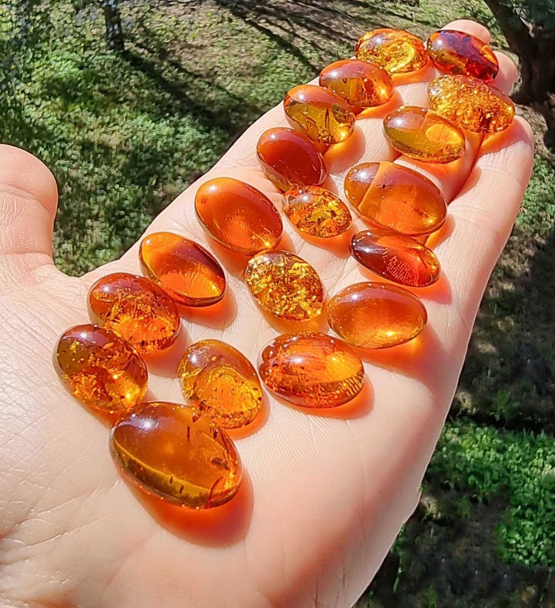 natural-baltic-amber-cognac-color-oval-shape-12x16-flat-bottom