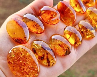 Natural Baltic Amber Light Cognac Color, Free Shape Flat Bottom Cabochons, Various sizes.