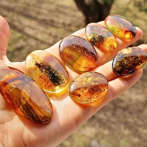 Natural Baltic Amber Fossil Color, Free Shape Flat Bottom Cabochons, Various Sizes.