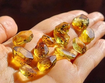May include: A collection of amber gemstones, each with a unique shape and color variation. The amber is translucent and has a warm, golden hue. Some of the stones have inclusions, such as insects or plant matter.