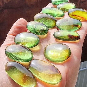 Natural Amber Green Color, Free Shape Flat Bottom Cabochons, Various Sizes.