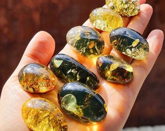 Natural Baltic Amber "Earth stone" Green Color, Free Shape Flat Bottom Cabochons, Various Sizes.