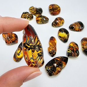 Natural Baltic Amber Gradient Color, Carved Free Shape Flat Bottom Cabochons, Various sizes.