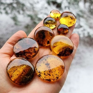 Naturlig baltisk bärnsten, fossilfärgad, fria runda cabochoner med platt botten, olika storlekar.