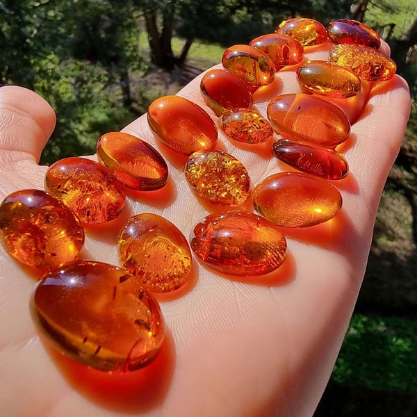 Natural Baltic Amber Cognac Color, Free Shape Flat Bottom Cabochons, Various sizes.