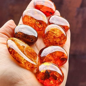 Natural Baltic Amber Cognac Color, Free Shape Flat Bottom Cabochons, Various sizes.