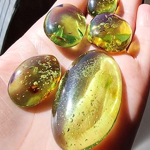 Natural Amber Green Color, Free Shape Flat Bottom Cabochons, Various Sizes.