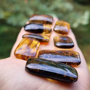 Puede incluir: Una colección de piedras de ámbar pulidas en varias formas rectangulares y cuadradas. Las piezas de ámbar muestran una gama de tonos cálidos y terrosos, desde amarillo dorado hasta marrón oscuro, con patrones internos visibles. Las piedras se sostienen en una mano sobre un fondo verde borroso.