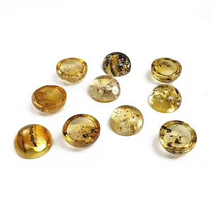 Natural Baltic Amber Fossil Color, Regular Calibrated Round Shape 8 - 10 - 12 - 14 - 16mm Flat Bottom Cabochons, Various Sizes.