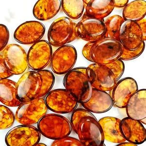 Natural Baltic Amber Cognac Color, Regular Calibrated Round Shape 18x25 mm Flat Bottom Cabochon