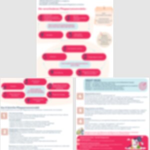 Pflege Lernzettel Pflegeprozess