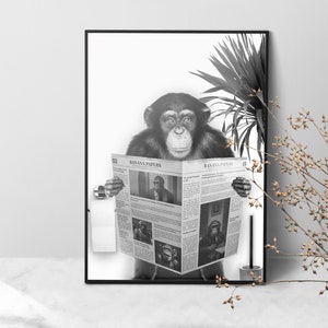 Monkey on Toilet reading Newspaper, Whimsy Animal Bathroom Decor, Printable Art, Kids Bathroom Wall Art Humor