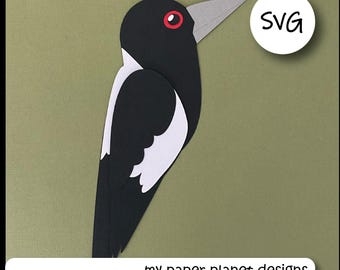 SVG Australian Magpie, DIY Digital layered cutting files for papercraft, cardstock.