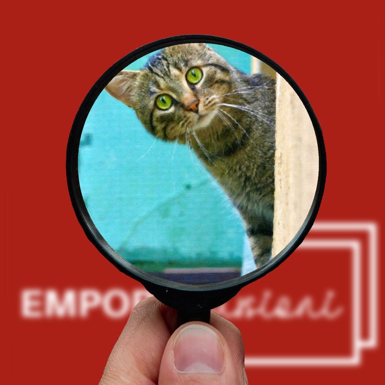 Peeking Cat Digital Print, Funny Wall Art (Digital Download) image 9