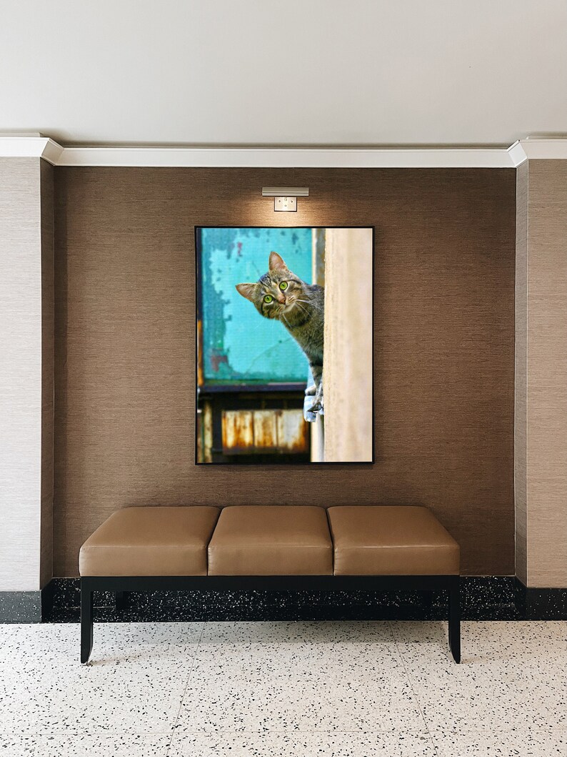 Peeking Cat Digital Print, Funny Wall Art (Digital Download) image 5