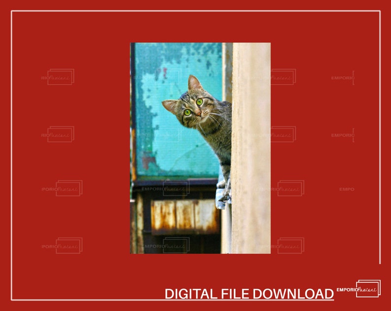 Peeking Cat Digital Print, Funny Wall Art (Digital Download) image 8