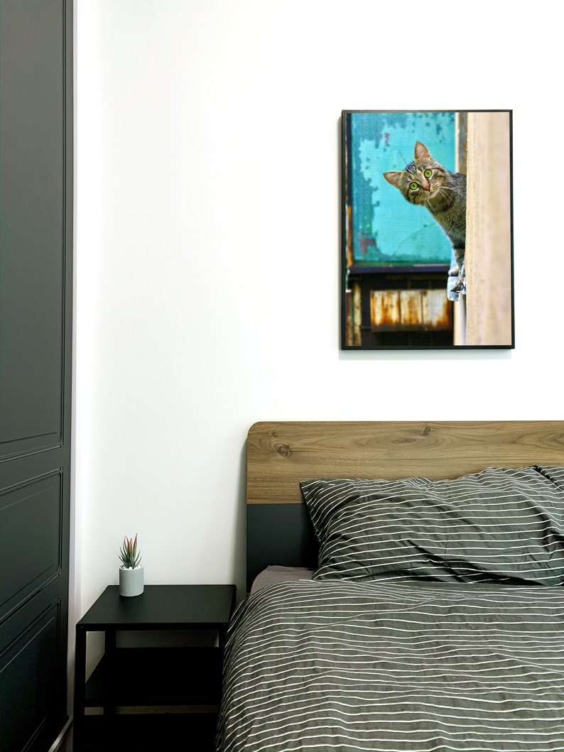 Peeking Cat Digital Print, Funny Wall Art (Digital Download) image 7